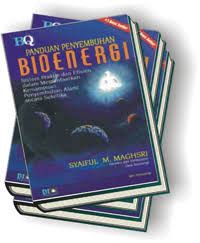 Image of Panduan Penyembuhan Bioenergi