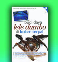 Image of Budidaya lele dumbo di kolam terpal