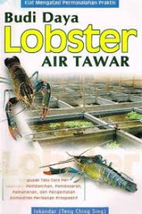 Image of Budidaya lobster air tawar