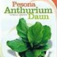 Image of Pesona Anthurium Daun