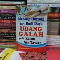 Image of Meraup Untung dari Budidaya Udang Galah Pada Kolam Air Tawar