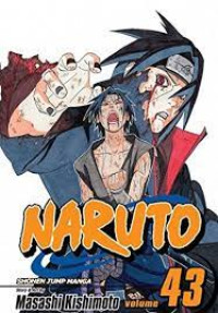 Image of Naruto Vol.43. The Man Knows Thew Truth